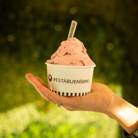 Del Parque Heladerías