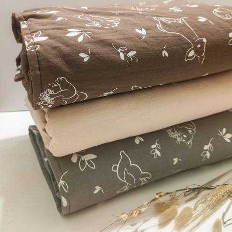 Detrás del Arco Iris