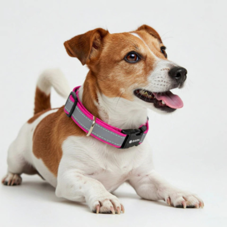 Bark | Accesorios Caninos