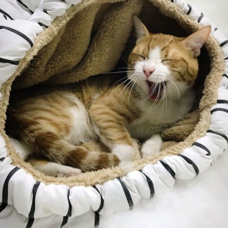 TOBA | Diseño Animal